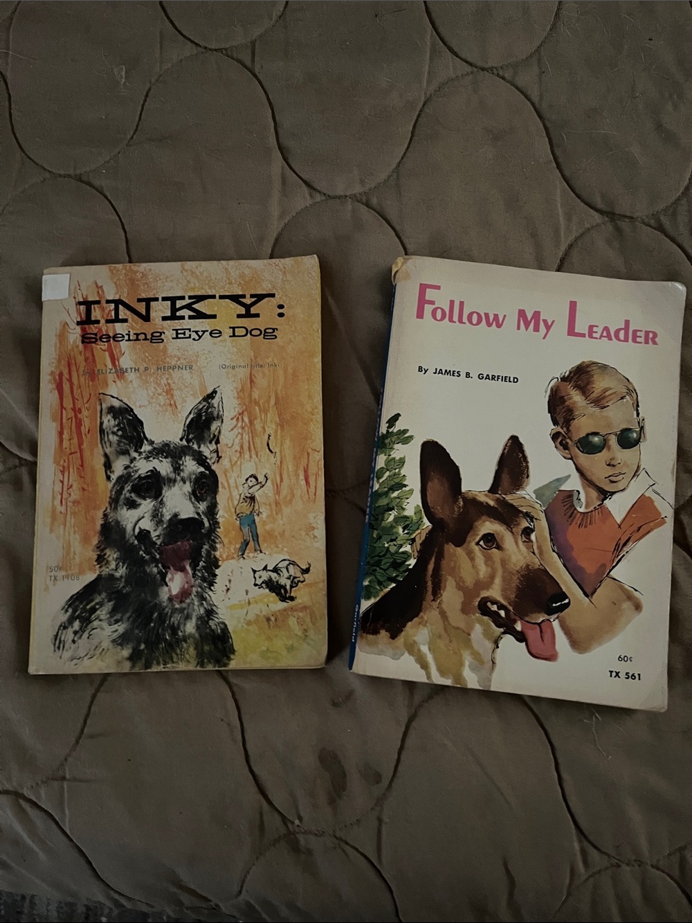 Follow My Leader & Inky: Seeing Eye Dog — Vintage Dog Books (Brown, Cream)